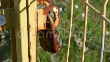 一个人试图打开生锈的门锁，陈旧的生锈的门锁，花园的门锁
